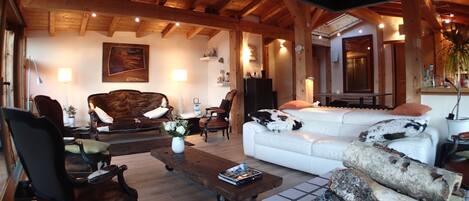 TV, fireplace, DVD player, books