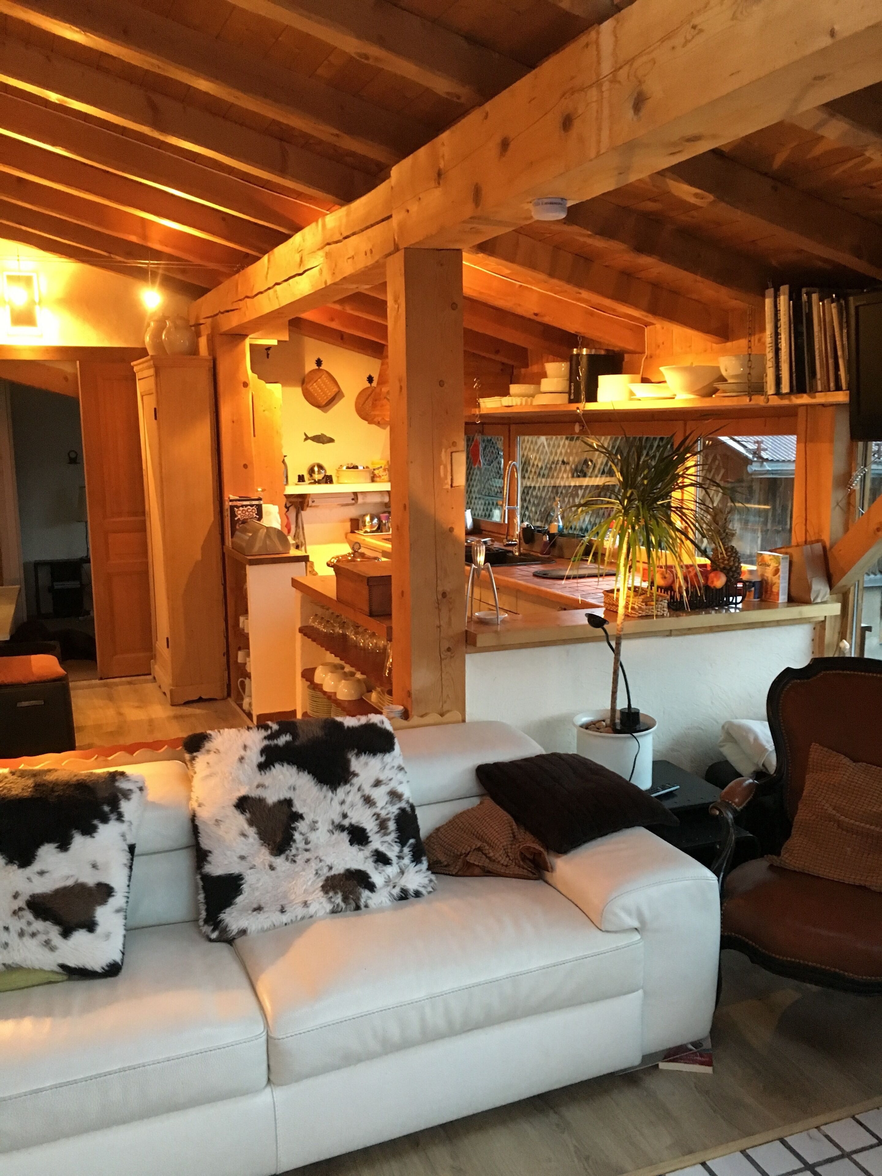 Télévision, cheminée, lecteur de DVD, livres