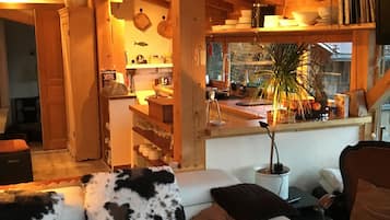 Télévision, cheminée, lecteur de DVD, livres