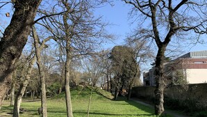 Ein Park mit einem Rasenpfad, Bäumen und einer Steinmauer.