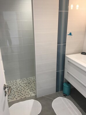 Shower, hair dryer, toilet paper