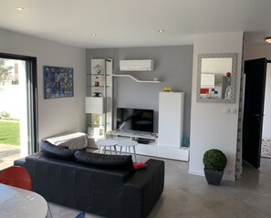 Smart TV, DVD player, books, video library