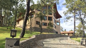 Un sendero de piedra conduce a un edificio de varios pisos rodeado de árboles.