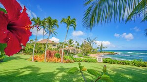 Un verdall exuberat, palmeres i vista a l'oceà.