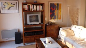 Un salon avec un téléviseur, une bibliothèque et un canapé.