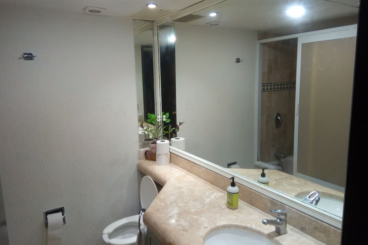 A bathroom with a toilet, sink, and mirror.
