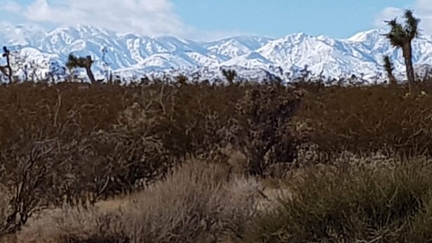 Un paysage désertique avec une végétation clairsemée et une chaîne de montagnes en arrière-plan.