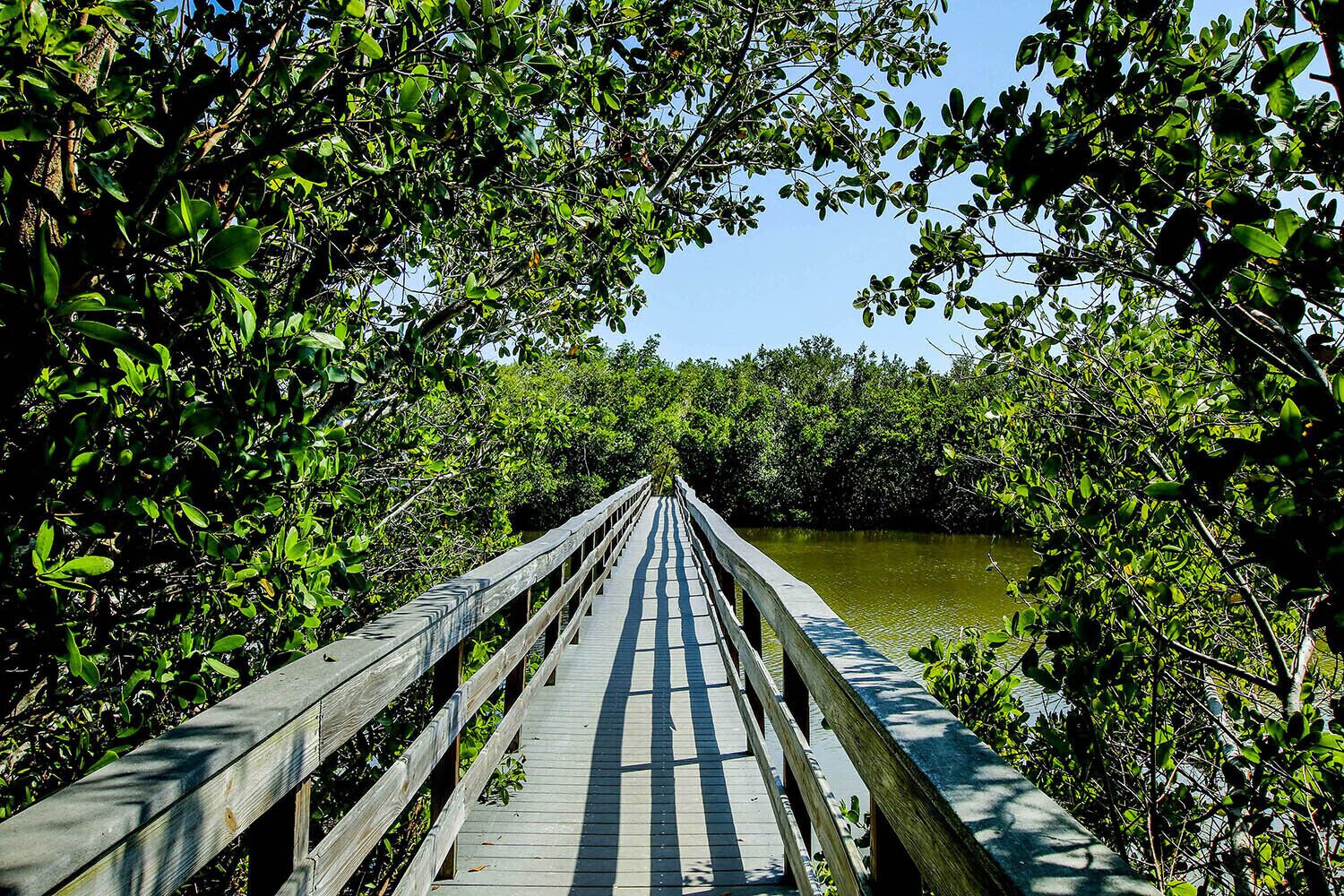 Blind Pass Condominiums Bayou Bridge