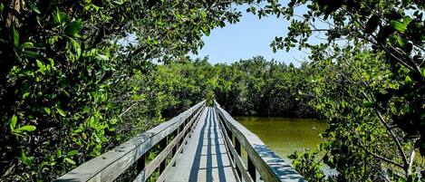 Blind Pass Condominiums Bayou Bridge