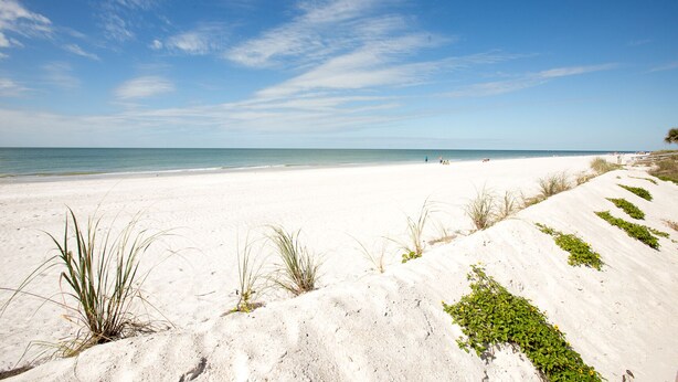 A beach with white sand and sparse vegetation. - Beachfront steps to beach with Remodeled Kitchen, Quartz Countertops (Indian Rocks Beach)