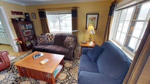 电视、壁炉、DVD 播放器、书