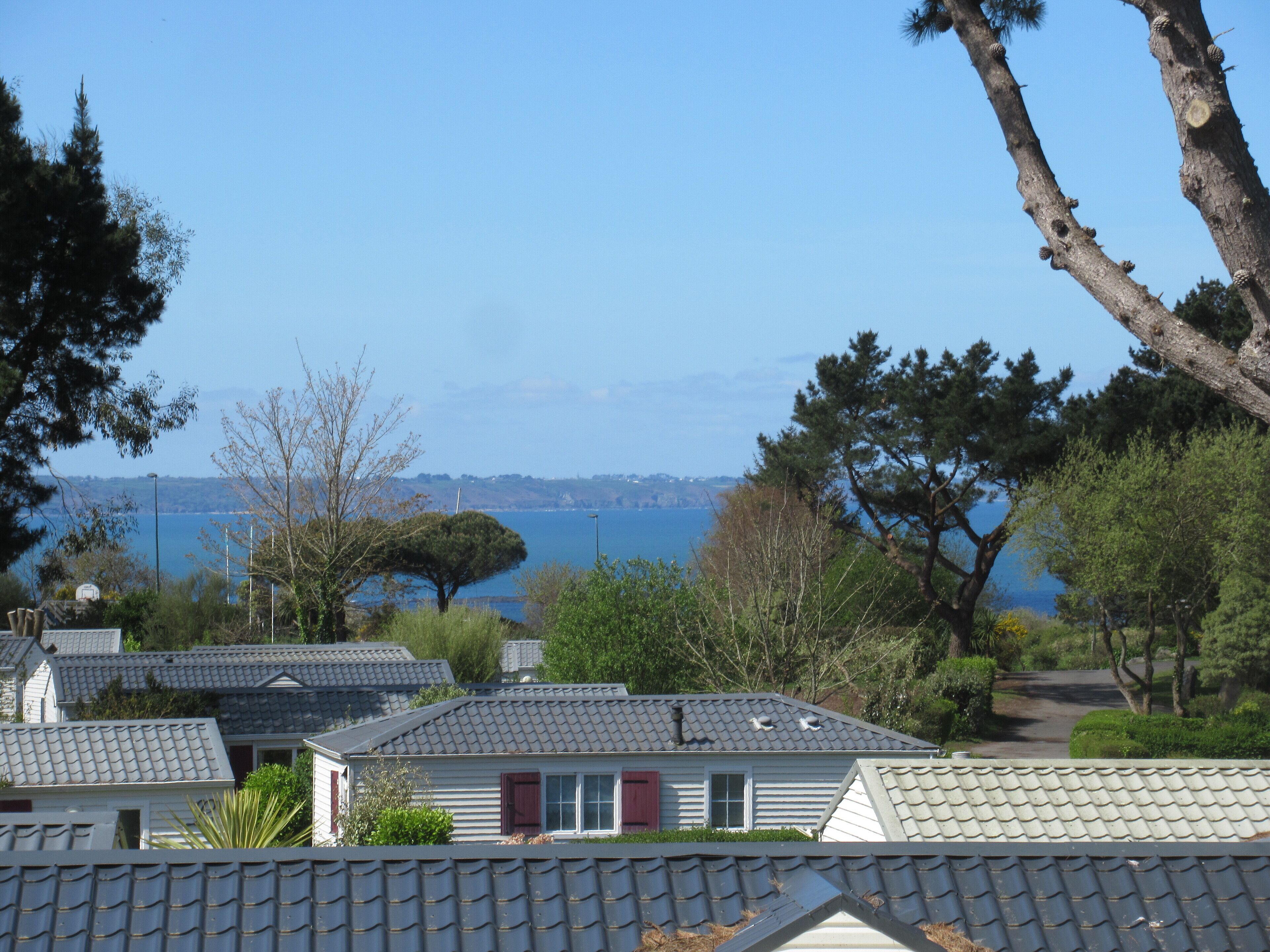 Ein Küstenwohngebiet mit Häusern, Bäumen und Blick aufs Meer.