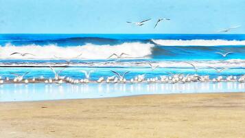 Ranta lähistöllä, aurinkotuoleja, rantapyyhkeitä