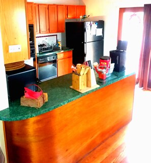 Fridge, microwave, stovetop, dishwasher