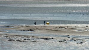 A beach with two people walking, a large yellow object, and birds in the water.