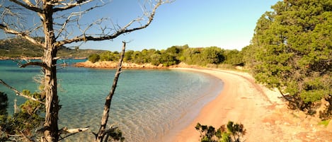 Playa en los alrededores y camastros 