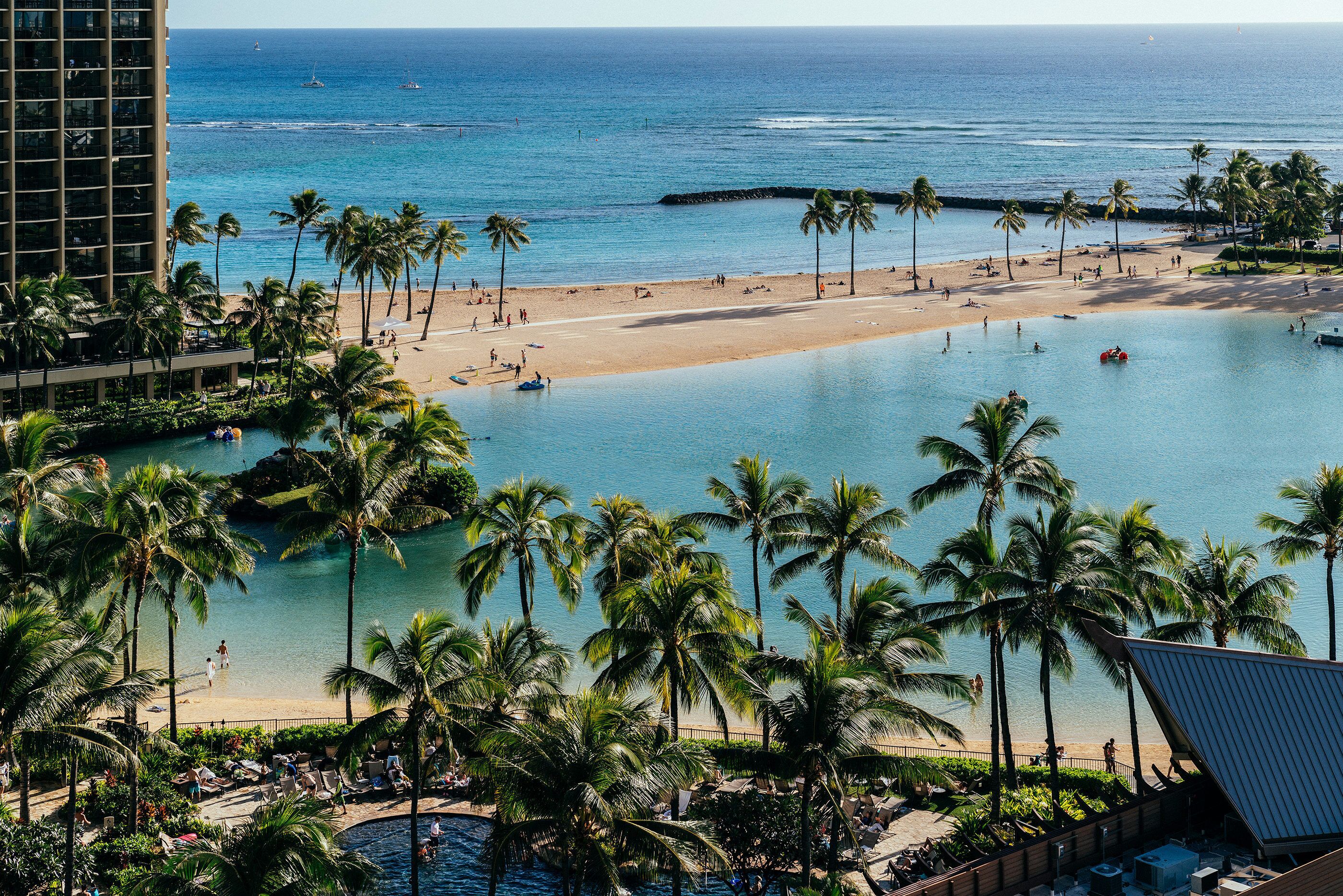 A resort with a beach, pool, and palm trees.