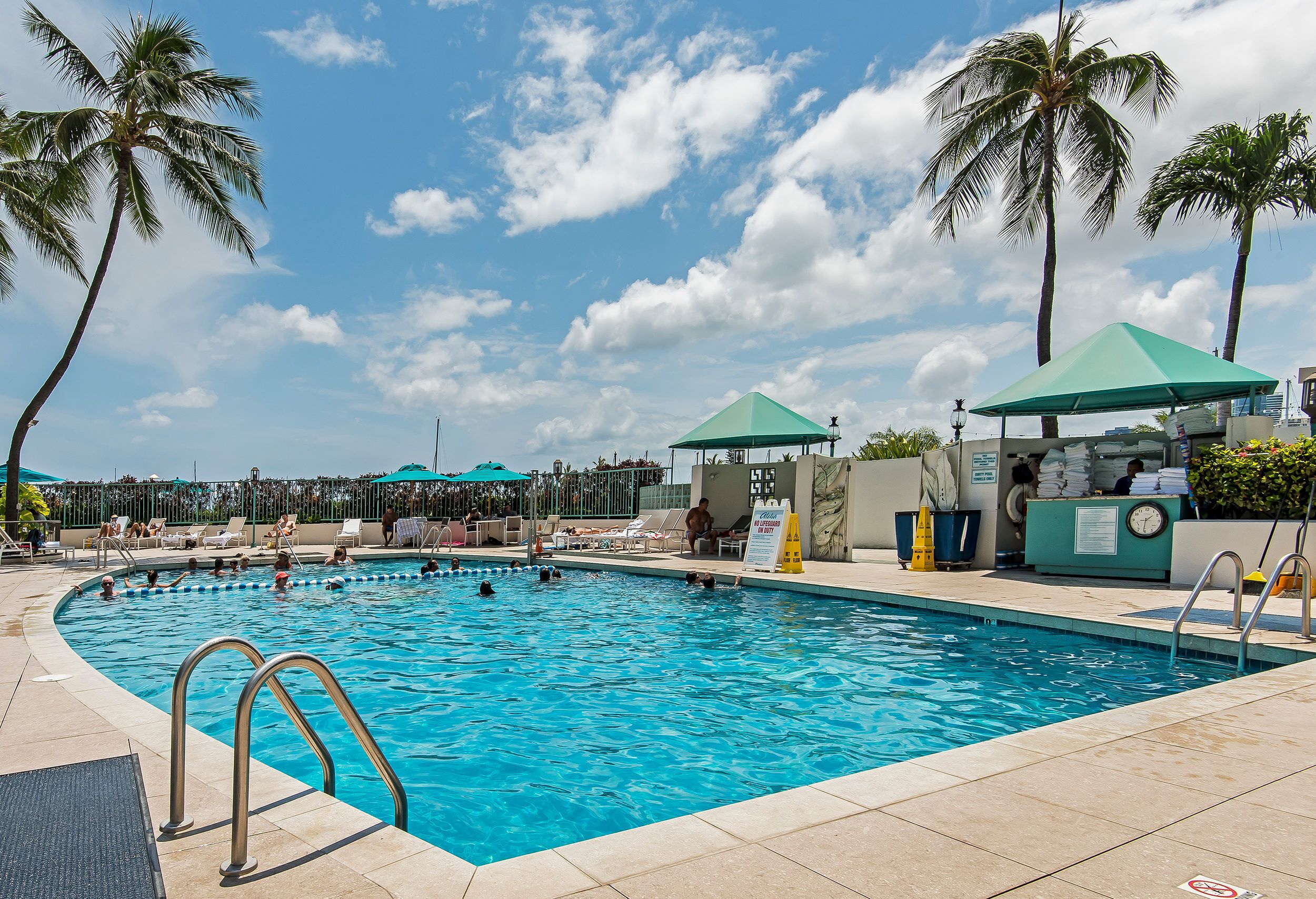 A swimming pool with lounge chairs and umbrellas, surrounded by palm trees.