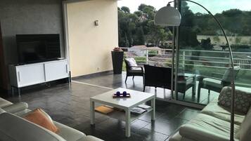 Fernseher, DVD-Player, Bücher