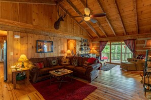 TV, fireplace, video games, DVD player