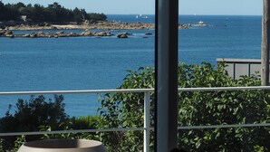 A coastal view from a balcony with a railing, overlooking a rocky shoreline and the sea. - VERY NICE HOUSE with SEA VIEW and garden overlooking coastal path (Concarneau)