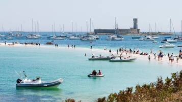Plage, chaises longues