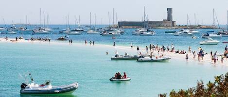 Plage, chaises longues