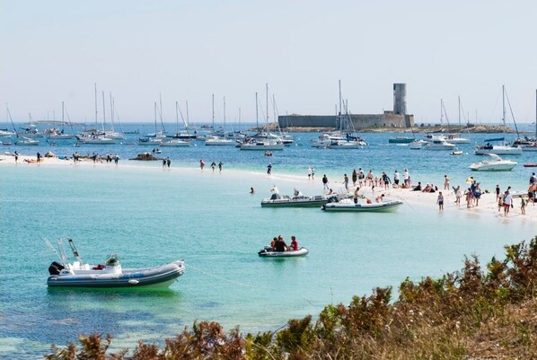 Plage, chaises longues