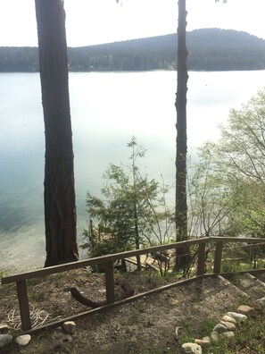 Property grounds - Roche Harbor Bayfront Escape: Luxe Retreat with Kayaks, Deck & Wildlife Views (Friday Harbor)