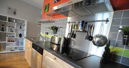 Vue sur Loire et chùteau, appartement de charme climatisé, 65m2, 6/8 pers