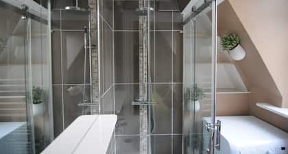 View of the Loire and chĂąteau, charming air-conditioned apartment, 65m2, sleeps 6/8