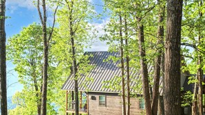 A wooden cabin with a metal roof, surrounded by tall trees and a clear sky. - Red Rock Vista Cabin-Fall Family Vacation in Jasper (Jasper)