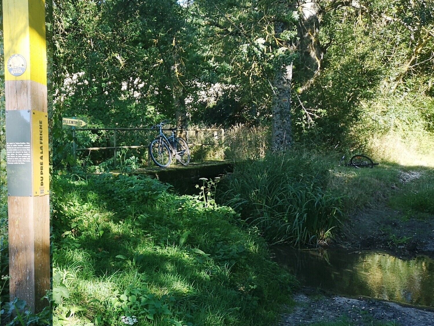 Een houten brug over een beek, met een fiets er op geparkeerd.