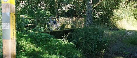 Een houten brug over een beek, met een fiets er op geparkeerd.