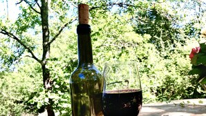 A bottle of wine, a glass of red wine, a piece of cheese, and a rose on a table outdoors. - Gypsy Caravan and Wooden Cabin In Nature (Saint-Méard-de-Gurçon)
