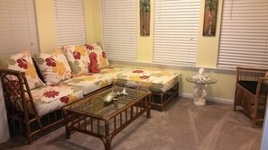 TV, DVD player, video library