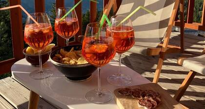 Stunning duplex, great view, pool, direct access to the ski slopes