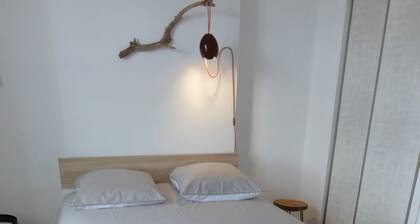 QUAI N ° 2: BEAUTIFUL VIEW OF THE LOIRE