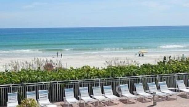 A beach view with rows of sun loungers and a clear blue sky. - Amazing! Direct Oceanfront Condo - Coconut Palms Beach Resort II* Special Rates* (New Smyrna Beach)