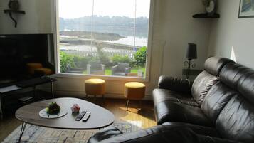 Televisie, een open haard, een dvd-speler en boeken