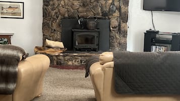 TV, fireplace, DVD player, ping pong