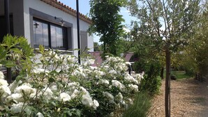 A garden with white roses, a pathway, and a building with a tiled roof and a window.