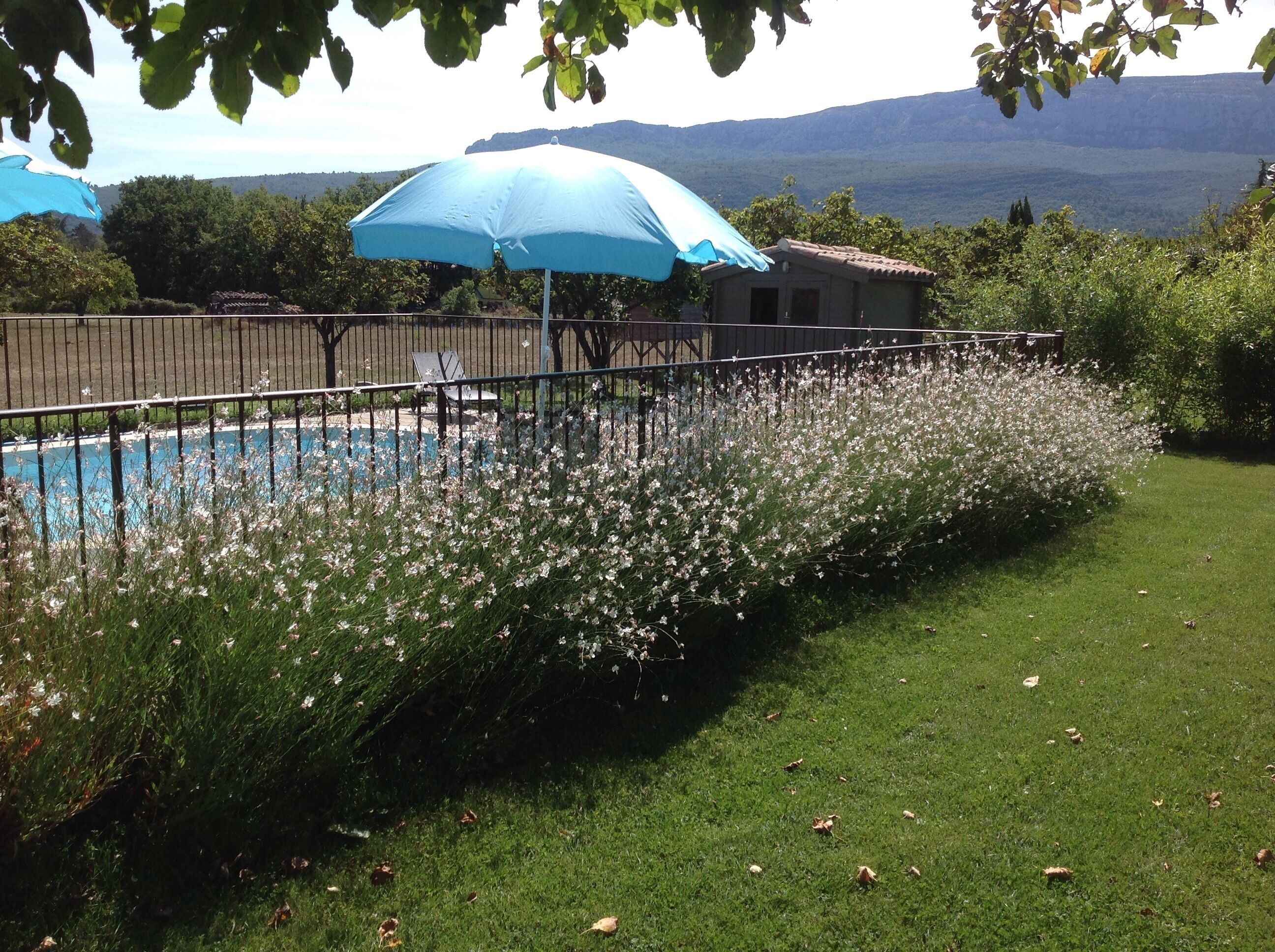 Terrein van de accommodatie