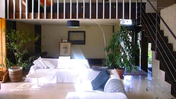 Télévision, cheminée, lecteur de DVD, livres