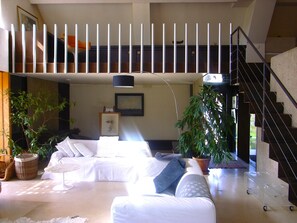 Télévision, cheminée, lecteur de DVD, livres