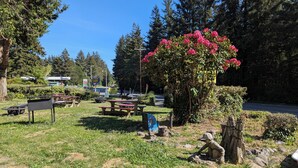 Un área de picnic con mesas y bancos, rodeada de árboles y un arbusto grande con flores.