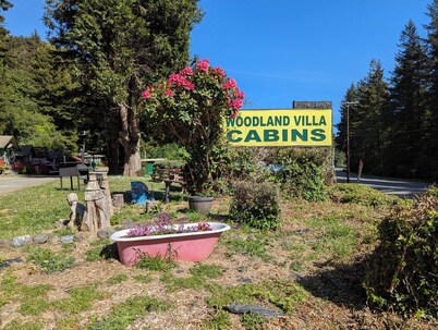 Where the Klamath River Meets the Pacific Ocean in the Heart of the Redwoods
