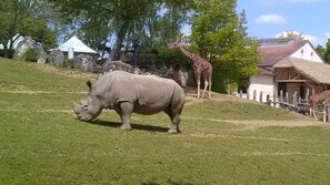 Áreas de la propiedad