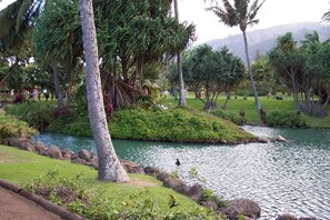 Jardines del alojamiento