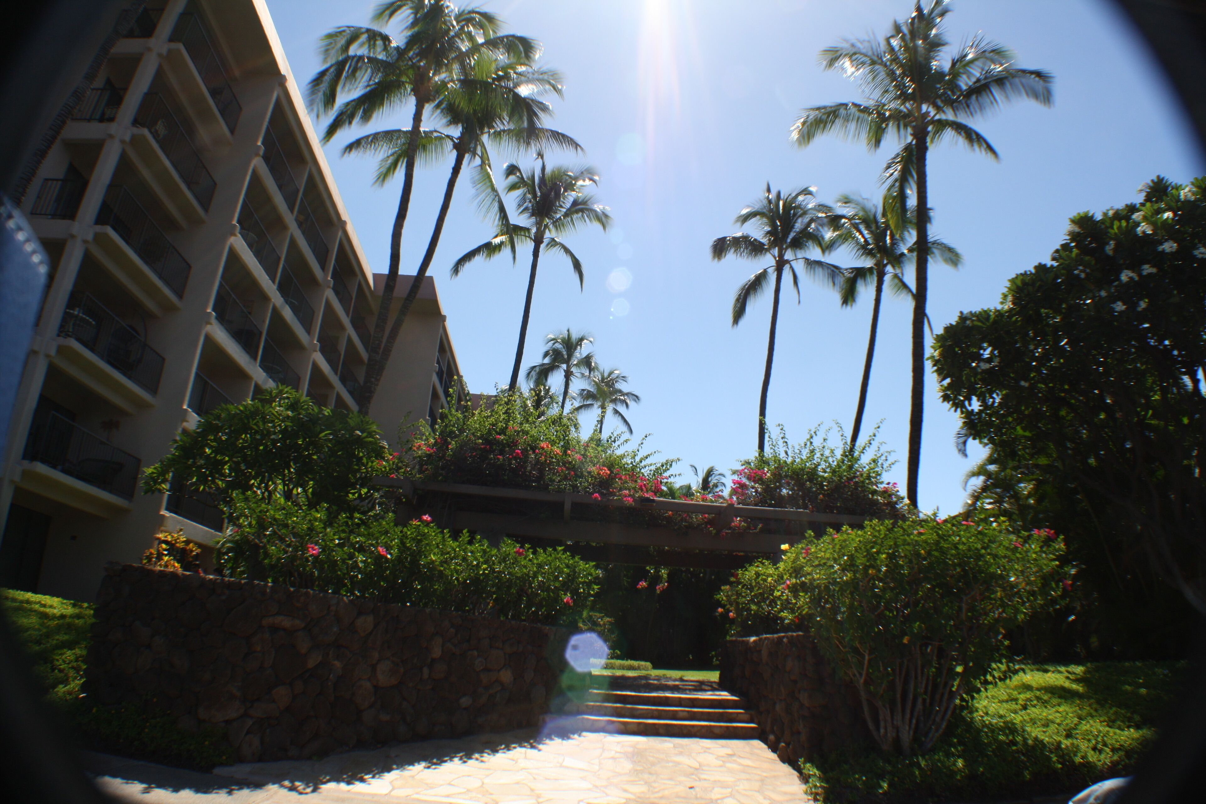 Kihei Akahi Grounds are well maintained and tropical 